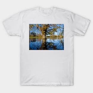 Horse Chestnut in the flooded River Ouse, York, England T-Shirt